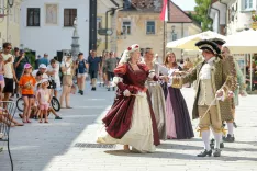 Srednjeve&scaron;ki utrip starega mesta