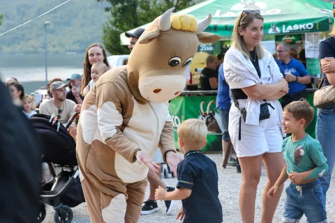 Bohinjska noč 2026 / Foto: Tina Dokl