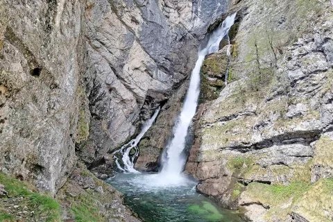 Ostajajo vključeni v skrb za naravno vrednoto