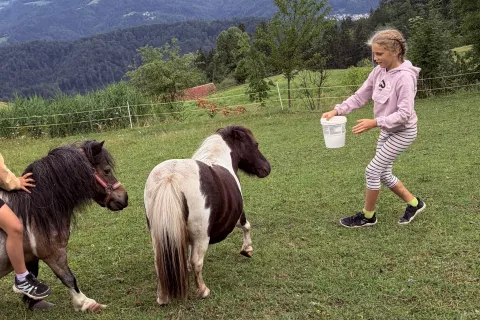Odkrivali so načine privabljanja ponijev, z različno opremo in taktikami. / Foto: Arhiv Gozdnega sija