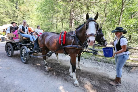 Od žita do kruha