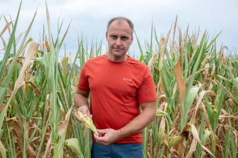 Matej Pičman : "Silaža bo letos slaba." / Foto: Primož Pičulin