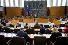 Državni zbor je na izredni seji v sredo sprejel sklep, da o zakonu o interventnih ukrepih za razvoj Slovenije ni mogoče razpisati naknadnega zakonodajnega referenduma. / Foto: Jure Makovec/STA