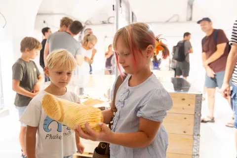 Kamfest 2026 - Razstava fosilov v kleti samostana Mekinje. Mekinje, 13. 8. 2026 / Foto: Matic Zorman