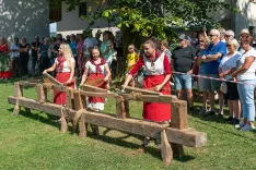 Dan teric: su&scaron;a prizadela tudi lan