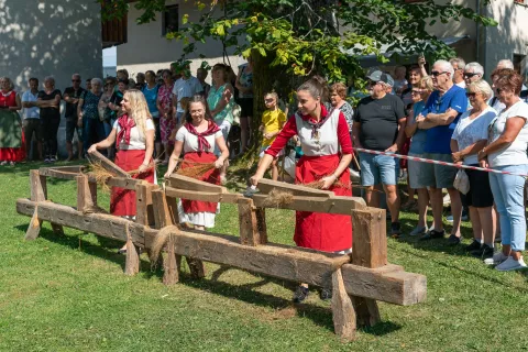 Dan teric: su&scaron;a prizadela tudi lan