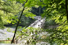 kanjon reke Kokre splo&scaron;ne klop, most, voda soteska, simbolične du&scaron;evna stiska, vročina, ohladitev / Foto: Tina Dokl