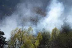 Simbolična fotografija požara na prostemSlovenski Javornik Jesenice 9.4. in 10.4.2026 / Foto: Nik Bertoncelj