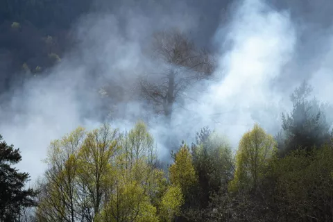 Simbolična fotografija požara na prostemSlovenski Javornik Jesenice 9.4. in 10.4.2026 / Foto: Nik Bertoncelj