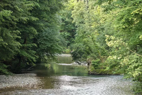 kanjon reke Kokre splo&scaron;ne klop, most, voda soteska, simbolične du&scaron;evna stiska, vročina, ohladitev / Foto: Tina Dokl
