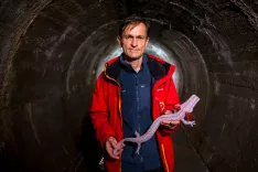 Novinarska konferenca v info centru SOS Proteus v rovih pod Kranjem, Gregor Aljančič / Foto: Primož Pičulin
