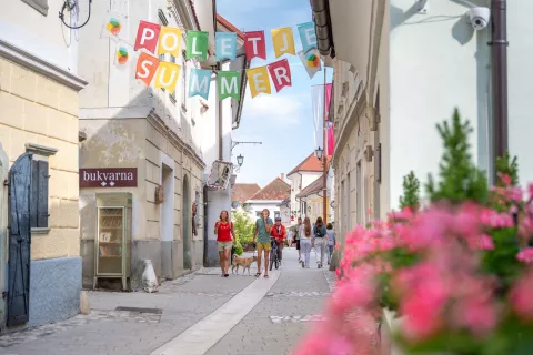 Simbolična fotografija občina Radovljica Linhartov trg center poletje v Radolci / Foto: Nik Bertoncelj