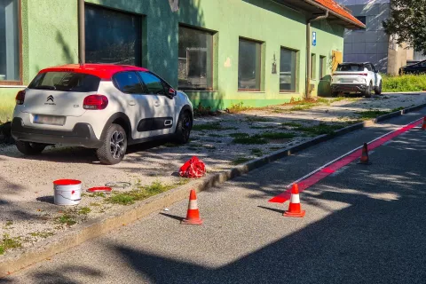 rdeča črta citroen / Foto: Igor Kavčič 