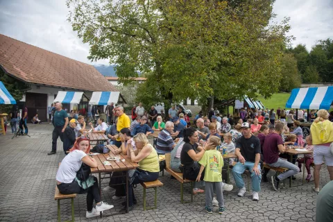Od volne do sladoleda