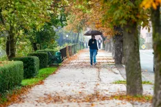 Jesensko urbano okolje v mestu.Jesen, Gorenjska, simbolično, simbolična, mesto, urbano, okolica, sprehod, pe&scaron;ec, vreme, dež, jesensko listje, promenada, sprehajalna pot, pločnik, drevored, dežnik, drevo. Jesenice / Foto: Nik Bertoncelj
