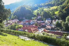 simbolična fotografija Tržič / Foto: Tina Dokl