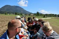 Med vožnjo z lojtrnikom, ob zgodbah Radol&scaron;ke dežele, nas pot vodila mimo travnikov in polj s čudovitimi pogledi na vrhove Karavank in Julijskih Alp, vse do vasi Vrbnje. / Foto: Alenka Brun
