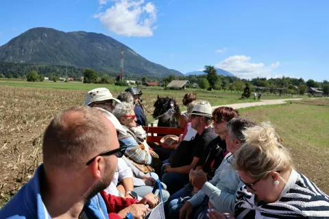 Med vožnjo z lojtrnikom, ob zgodbah Radol&scaron;ke dežele, nas pot vodila mimo travnikov in polj s čudovitimi pogledi na vrhove Karavank in Julijskih Alp, vse do vasi Vrbnje. / Foto: Alenka Brun