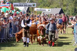 67 kravji bal Bohinj / Foto: Tina Dokl