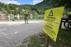 Toksini prisotni v go&scaron;čah, v vodi ne