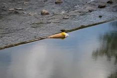 va&scaron; razgled sladoled / Foto: Primož Pičulin