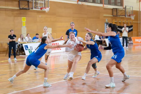 Ko&scaron;arkarice začele sezono