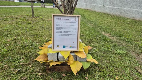 Manj sveč, več lepih misli