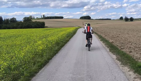 Podeželska cesta skozi valovito pokrajino / Foto: Slavko Zupanc