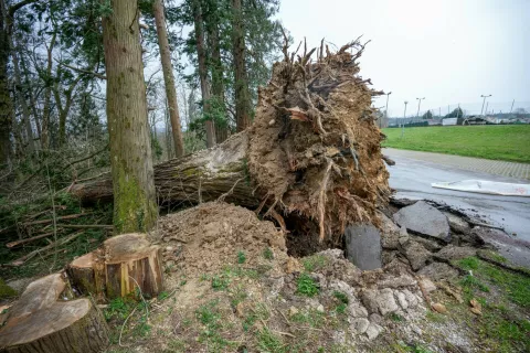 Prihodnje leto največ investicij