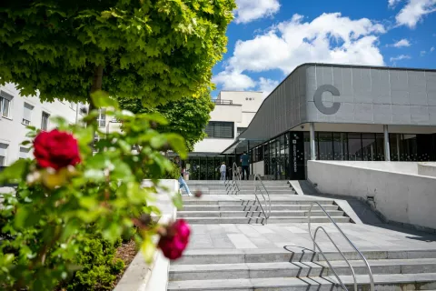 Mamografija začasno prekinjena