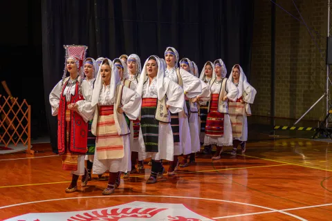 Osrednji folklorni dogodek v sklopu 21. Dnevov srbske kulture v Kranju, v organizaciji Kulturnega dru&scaron;tva Brdo / Foto: Primož Pičulin