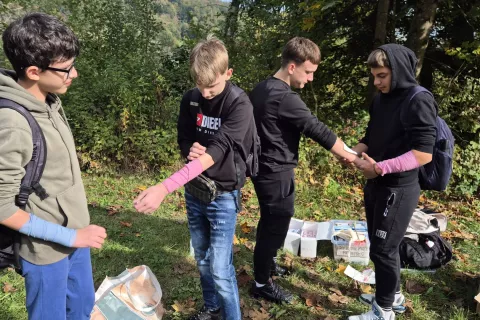 Delavnice pri Ve&scaron;trskem mlinu