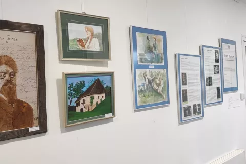 V krajevni knjižnici v Gorenji vasi si je mogoče ogledati domoznansko razstavo ob stoti obletnici smrti Ivana Tavčarja. / Foto: arhiv knjižnice