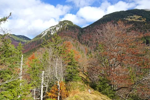 Skale na fotografiji so že v grebenu Laneža. Tjale gor gremo / Foto: Jelena Justin