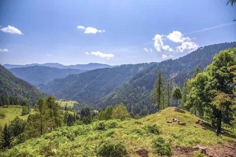 Obnovljena je tudi planinska pot Jama Topla–Mala Peca. / Foto: Zavarovalnica Triglav