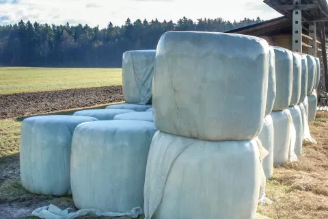 V vsaki silažni bali je približno 1,6 kubičnega metra krme, za to pa je potrebno nekaj več kot 1,4 kilograma folije in mrežice za ovijanje. / Foto: Cveto Zaplotnik