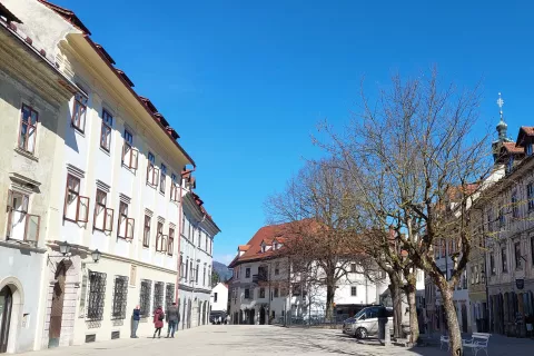 V središču mesta, na »Placu«, bo po prenovi še več dreves. / Foto: arhiv Občine Škofja Loka