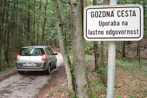 Dilema: kako v gozd - peš ali z avtom / Foto: Gorazd Kavčič, Cveto Zaplotnik