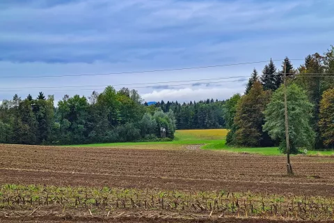 Mokrotni travniki Blate ležijo južno od Preddvora in predstavljajo enega zadnjih večjih kompleksov mokrotnih travnikov na Gorenjskem. / Foto: Alenka Brun