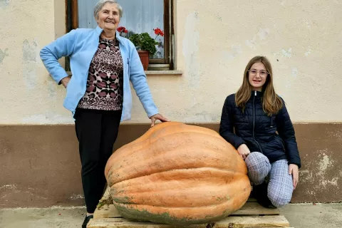 Marija Krničar z vnukinjo Niko ob buči velikanki, ki tehta kar 162 kilogramov. / Foto: Maja Krničar