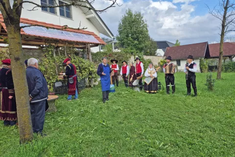 Letos je potekala četrta trgatev Nacetove trte. / Foto: Ana Jagodic Dolžan