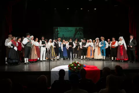 FS Sava Kranj – koncert ob 75. letnici / Foto: Primož Pičulin