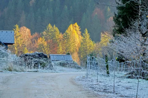 tihožitje Jezersko / Foto: Tina Dokl