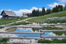 Ureditev kalov na bohinjskih planinah je eden od primerov dobre prakse povezave med ohranjanjem kmetijstva in varstvom narave.