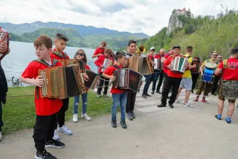 harmonika ob Blejskem jezeru Bled / Foto: Tina Dokl