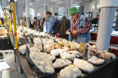 49 dnevi mineralov fosilov in okolja MINFOS Tržič / Foto: Tina Dokl