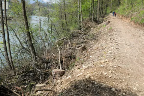 Po februarskem poseku obolelih dreves so ob pešpoti do Struževega ostali številni kupi vej. / Foto: Tina Dokl