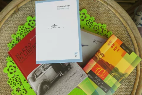 Namigi za poletno branje / Foto: Igor Kavčič