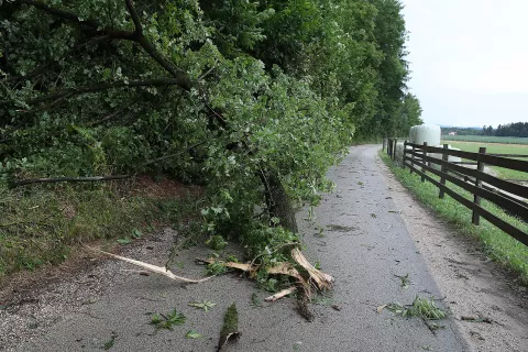 neurje Milje Hotemaže Olševek odkrivanje strehe podrta drevesa ciklon vetrolom veter gasilci huda ura / Foto: Gorazd Kavčič