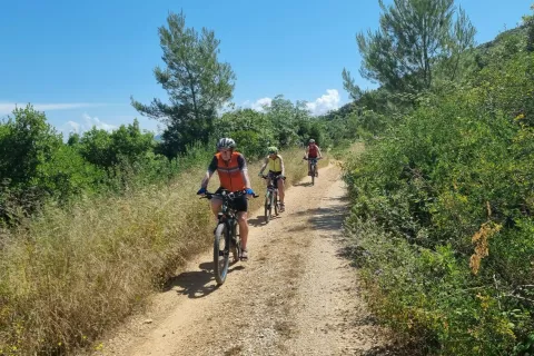 Na otoku Korčula smo za&scaron;li na slab&scaron;i makadam. / Foto: Grega Flajnik